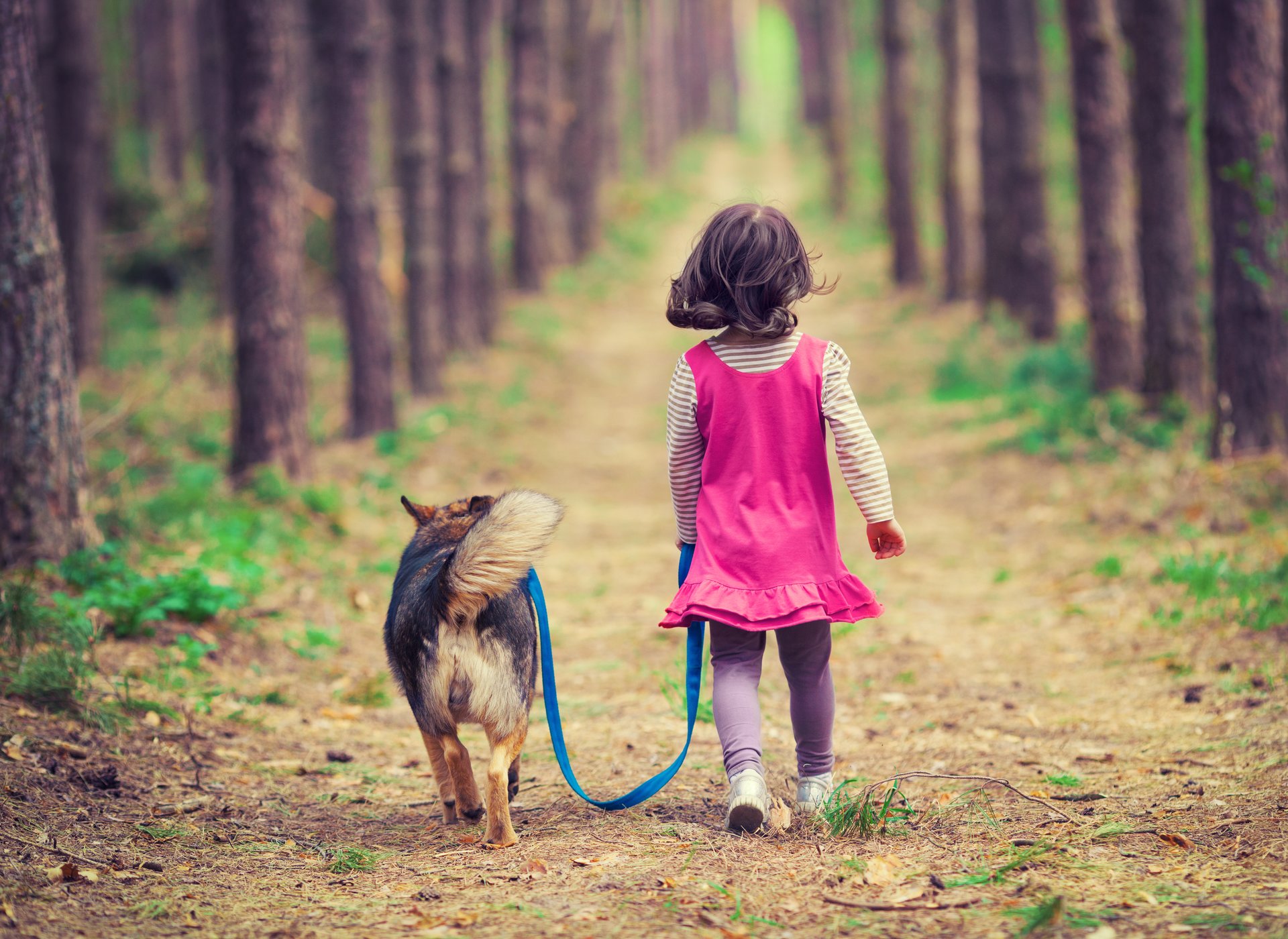 Sacchetti igienici per cani di varie misure, Sedo